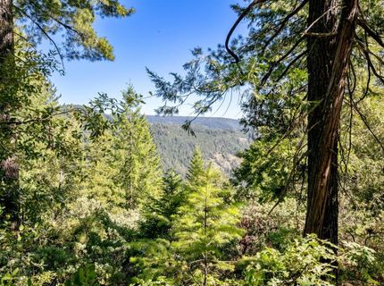 Emigrant Gap, Emigrant Gap, CA 95715 Photo