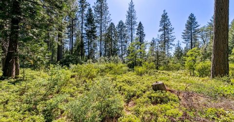 Emigrant Gap, Emigrant Gap, CA 95715 Photo