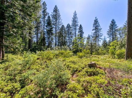 Emigrant Gap, Emigrant Gap, CA 95715 Photo