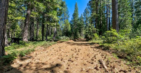 Emigrant Gap, Emigrant Gap, CA 95715 Photo