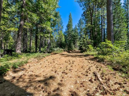 Emigrant Gap, Emigrant Gap, CA 95715 Photo