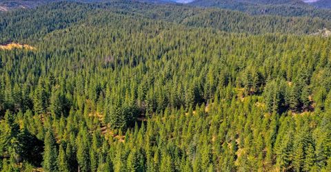 Emigrant Gap, Emigrant Gap, CA 95715 Photo