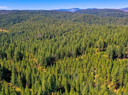 Emigrant Gap, Emigrant Gap, CA 95715 Photo