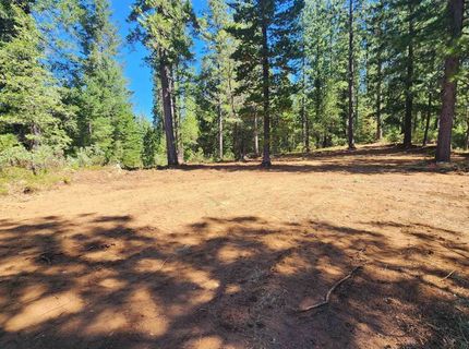 Emigrant Gap, Emigrant Gap, CA 95715 Photo