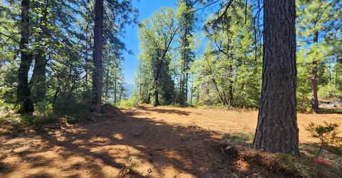 Emigrant Gap, Emigrant Gap, CA 95715 Photo