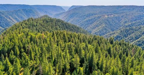 Emigrant Gap, Emigrant Gap, CA 95715 Photo