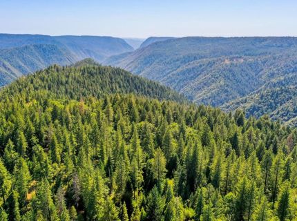 Emigrant Gap, Emigrant Gap, CA 95715 Photo