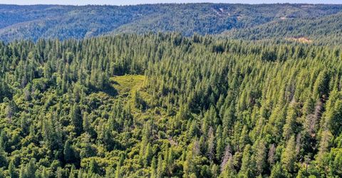 Emigrant Gap, Emigrant Gap, CA 95715 Photo