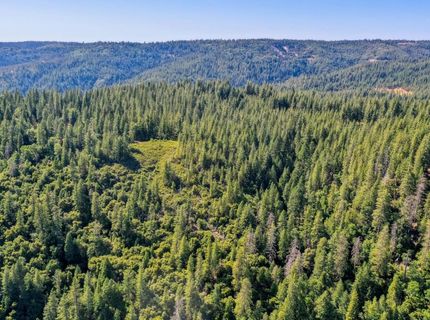 Emigrant Gap, Emigrant Gap, CA 95715 Photo