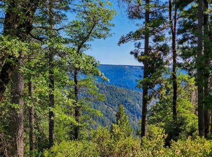 Emigrant Gap, Emigrant Gap, CA 95715 Photo
