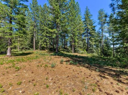 Emigrant Gap, Emigrant Gap, CA 95715 Photo