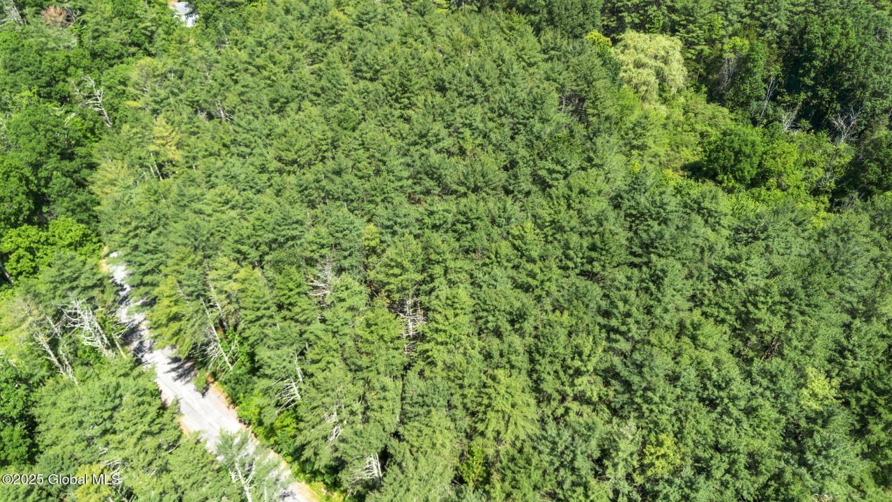 L6 Circle Drive, Cairo, NY 12413 Main Photo