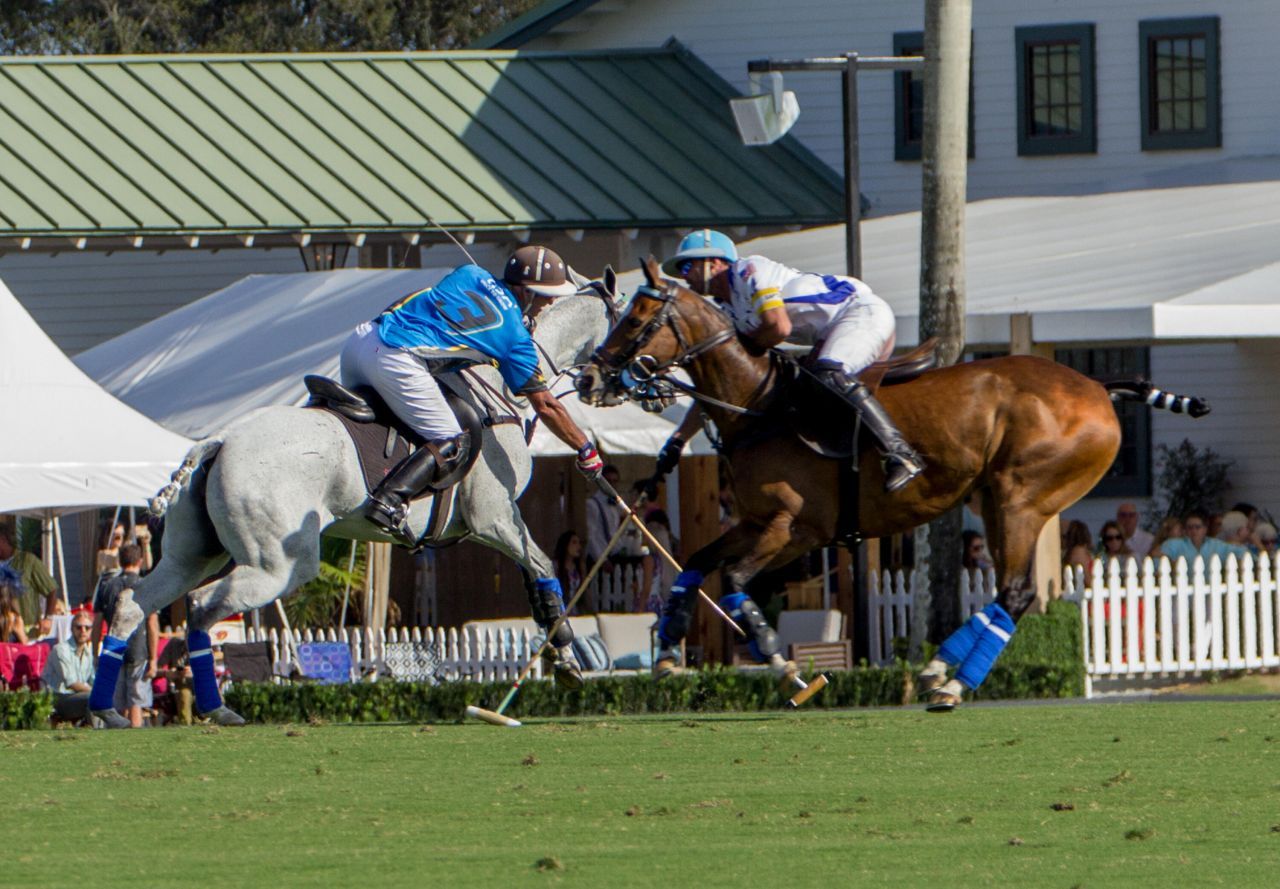 900 Cosmos Court, Wellington, FL 33414 Photo