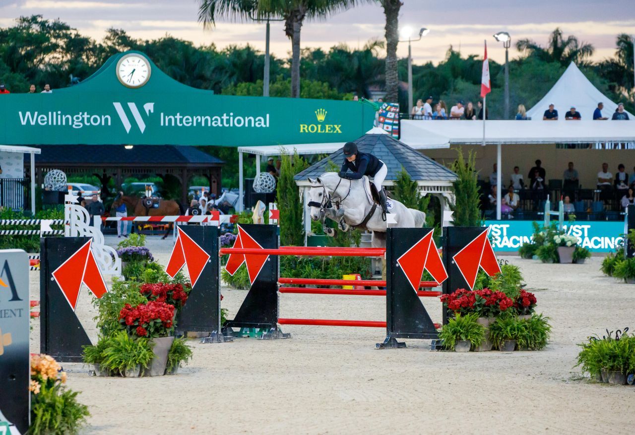 900 Cosmos Court, Wellington, FL 33414 Photo