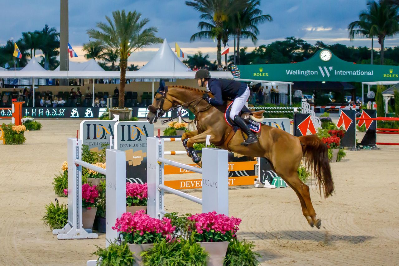 900 Cosmos Court, Wellington, FL 33414 Photo