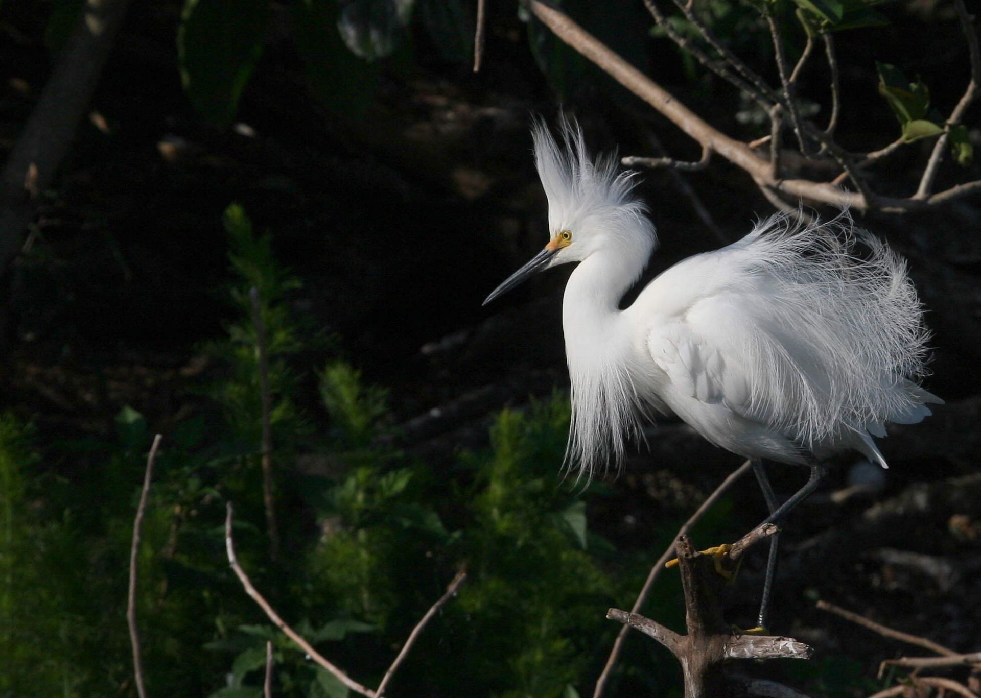 127 Sunset Cove Lane, Palm Beach Gardens, FL 33418 Photo