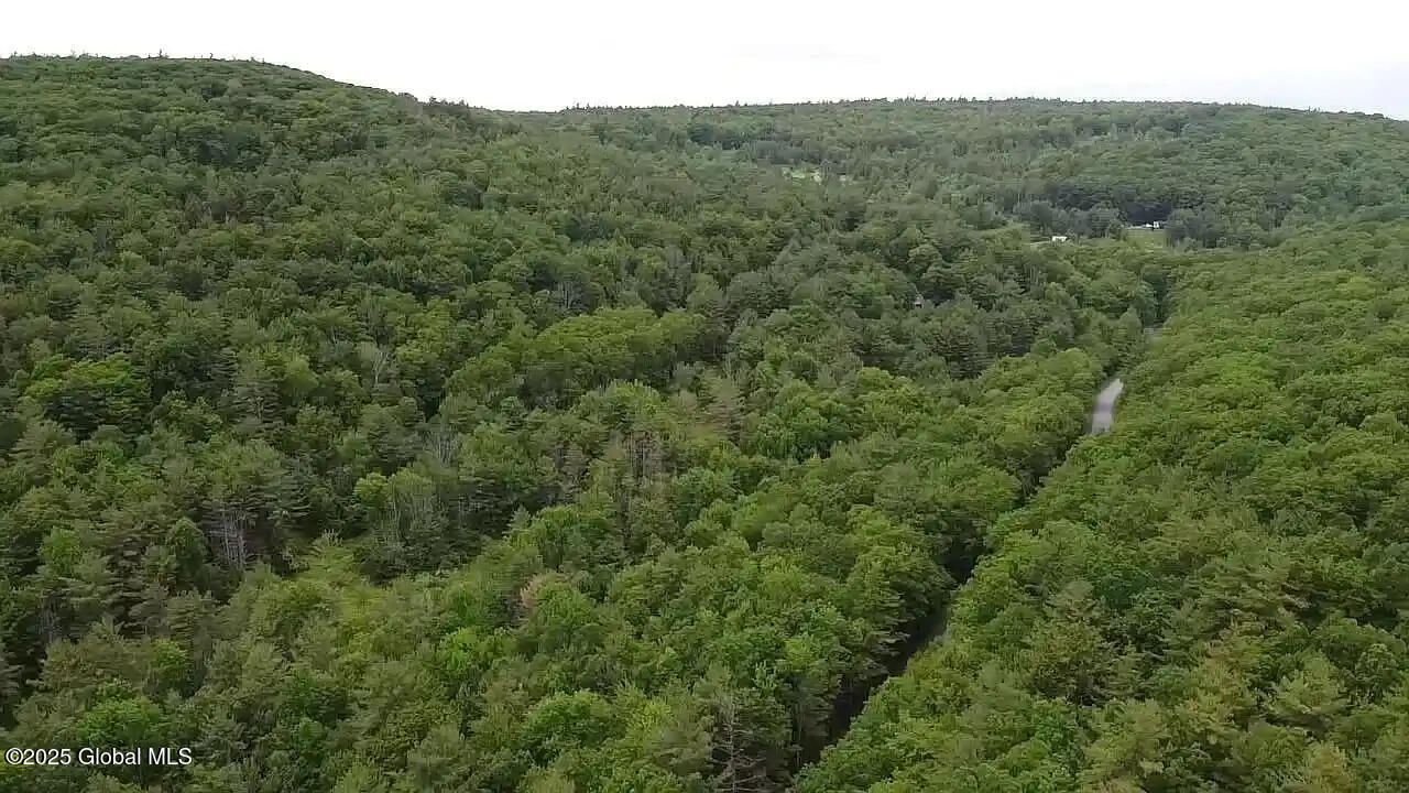 522 Quarry Road, Blenheim, NY 12131 Main Photo