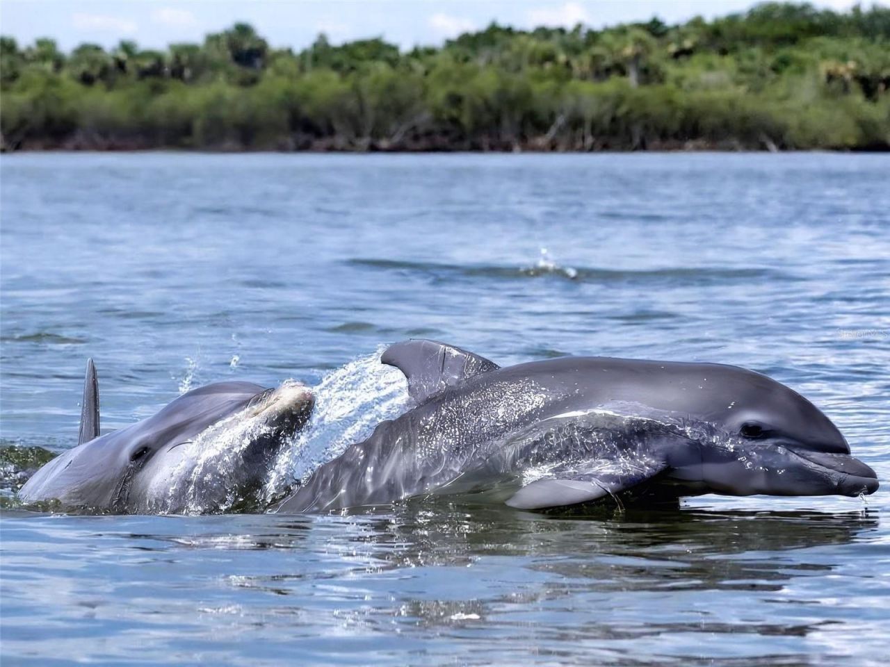 454 Bouchelle Drive, Unit 202, New Smyrna Beach, FL 32169 Photo