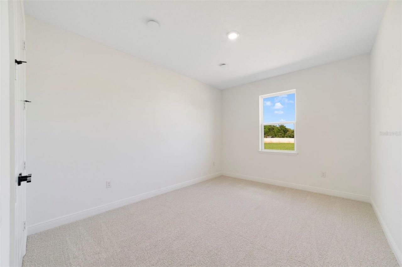 3004 Water Clover Court, Apopka, FL 32712 Photo