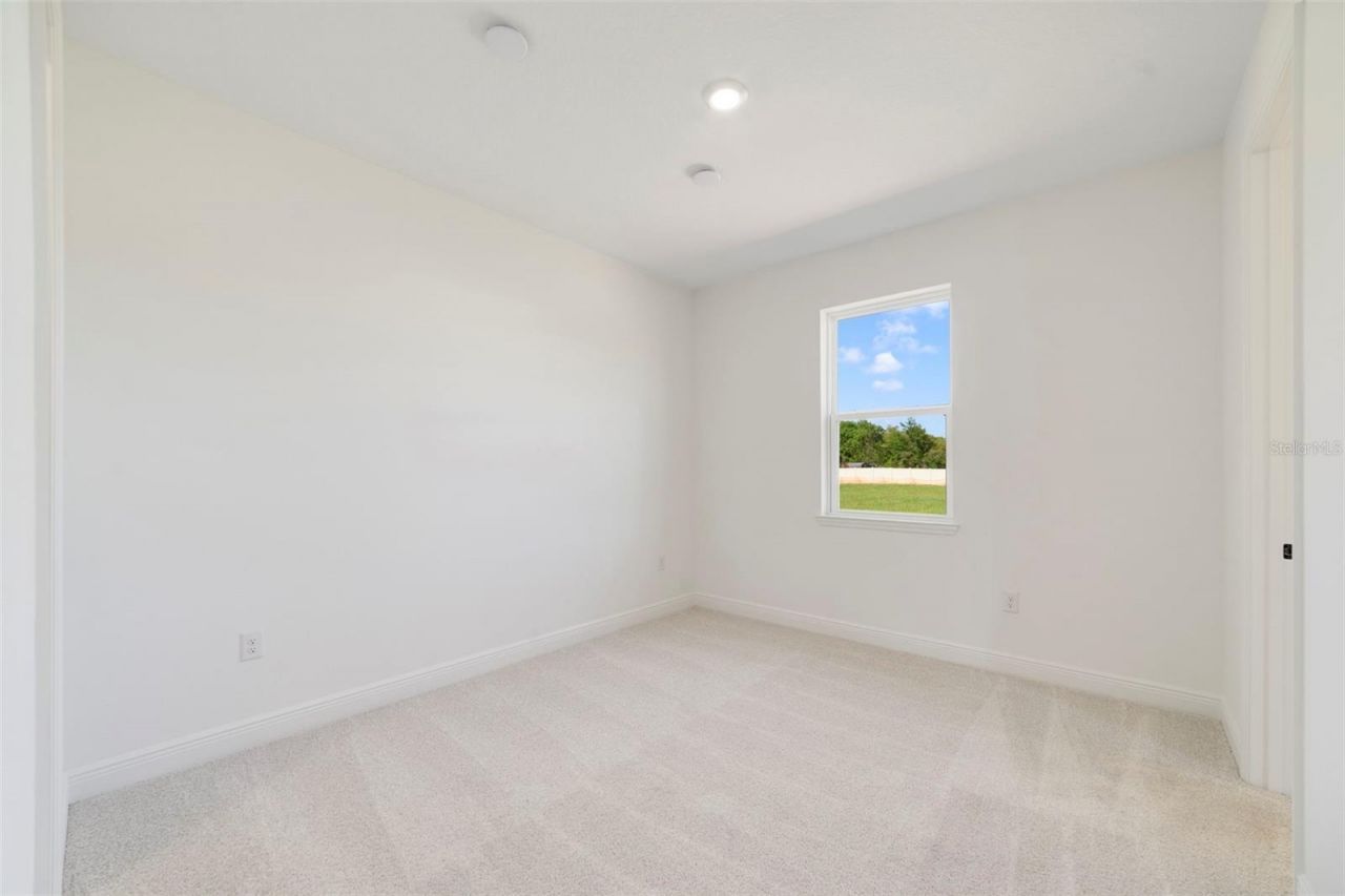 3004 Water Clover Court, Apopka, FL 32712 Photo