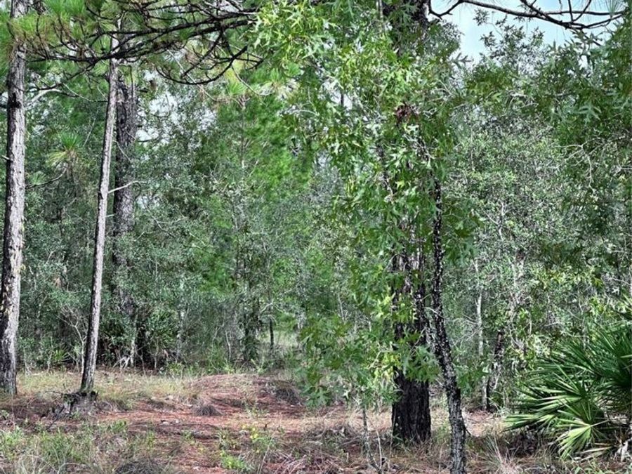 Property Image 4