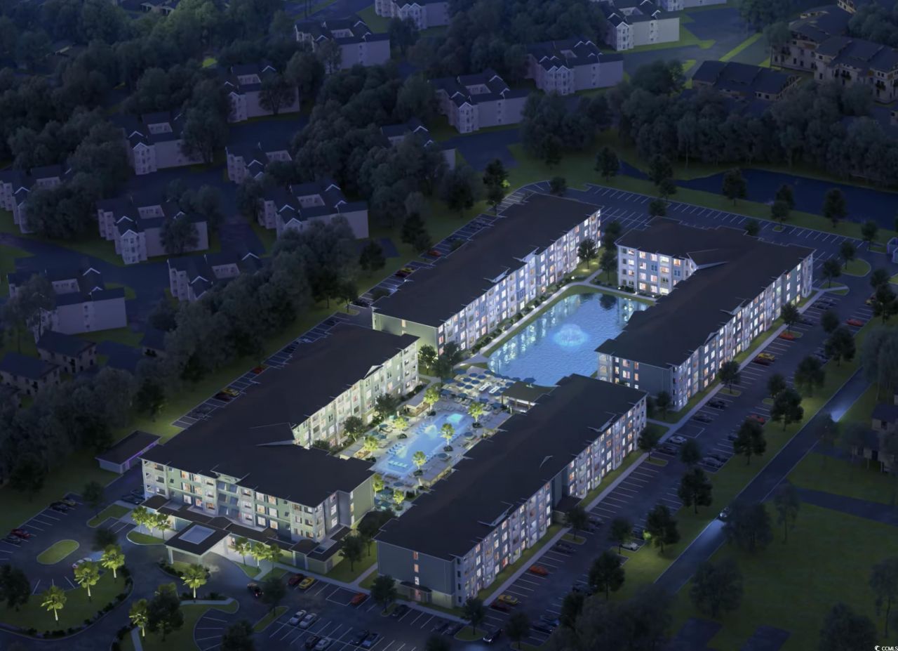 235 Fins Up Circle Photo 16