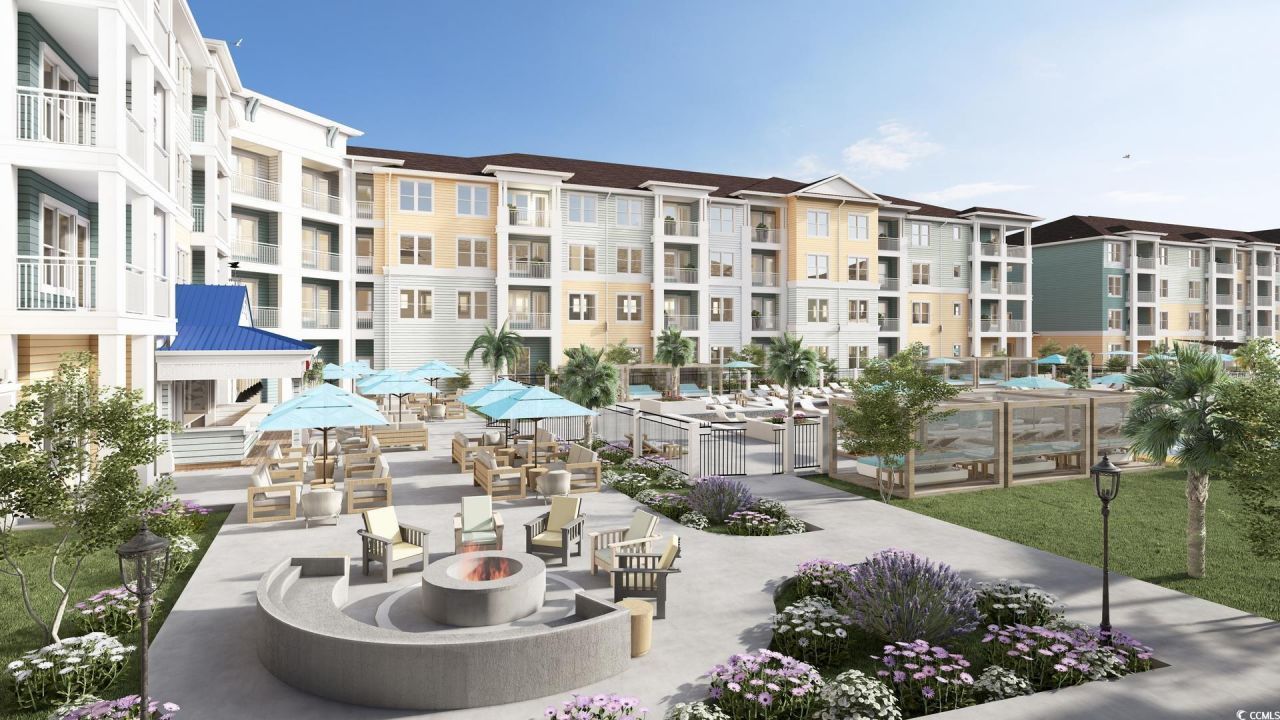 235 Fins Up Circle Photo 13