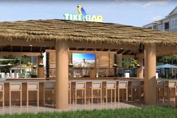 235 Fins Up Circle photo 4