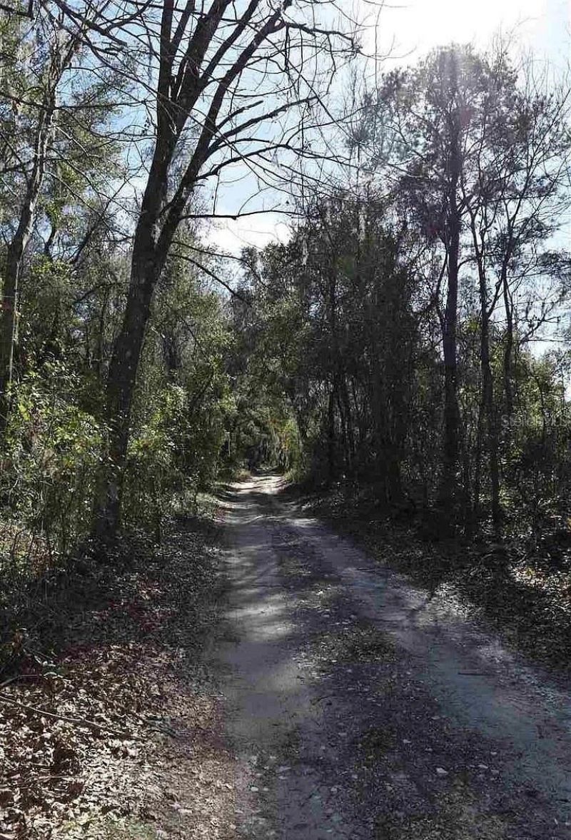 1123 NW 192nd Avenue, Gainesville, FL 32609 Photo