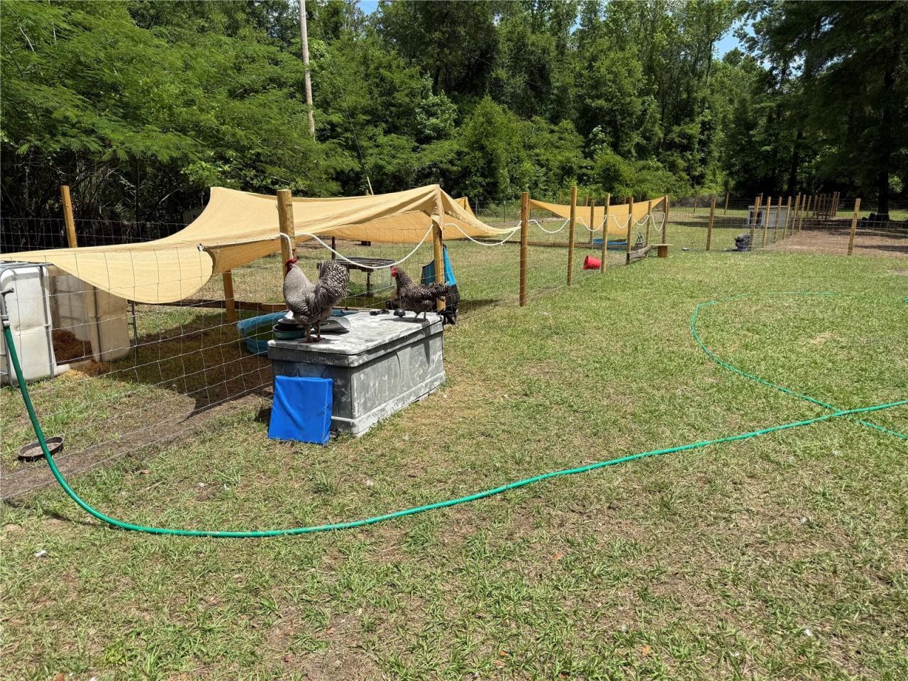 1123 NW 192nd Avenue, Gainesville, FL 32609 Photo