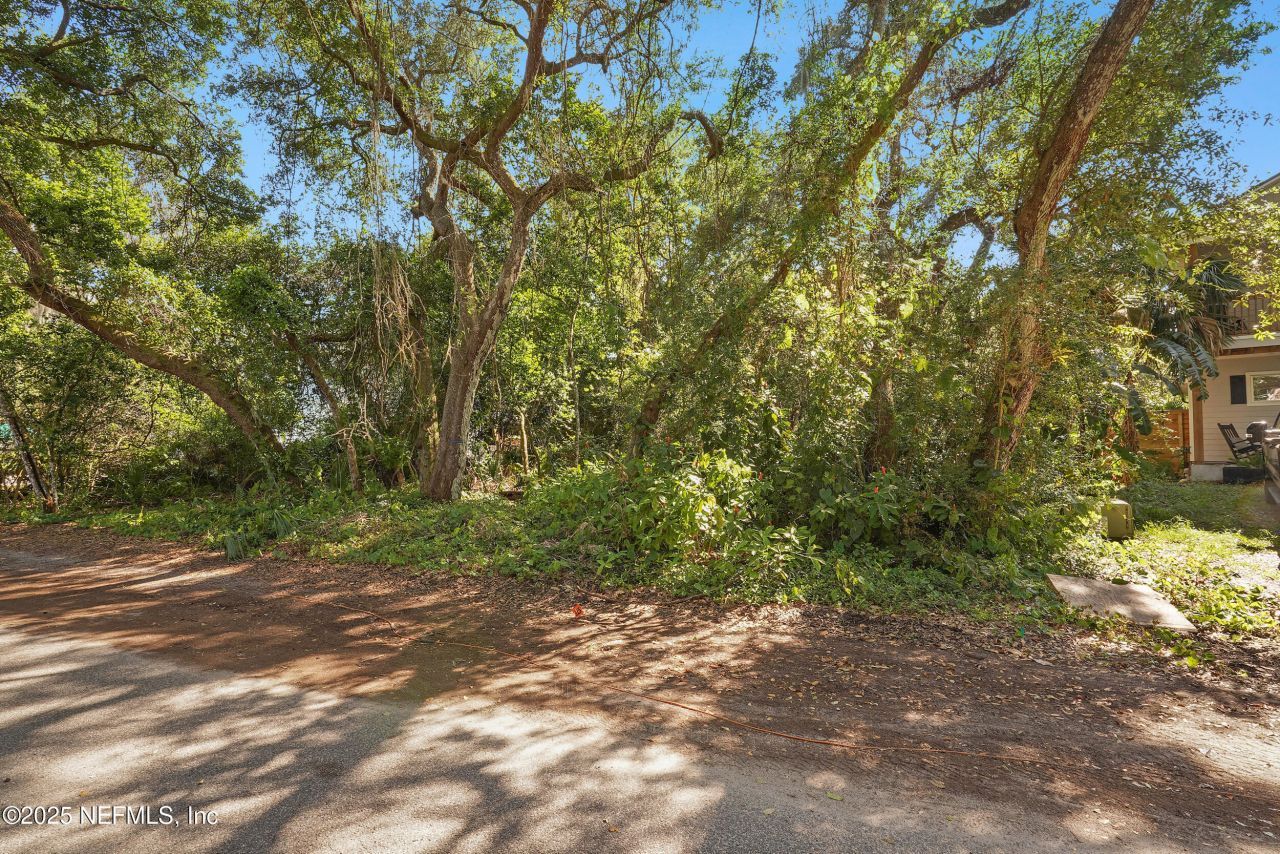0 Oleander Street, Saint Augustine Beach, FL 32080 Photo