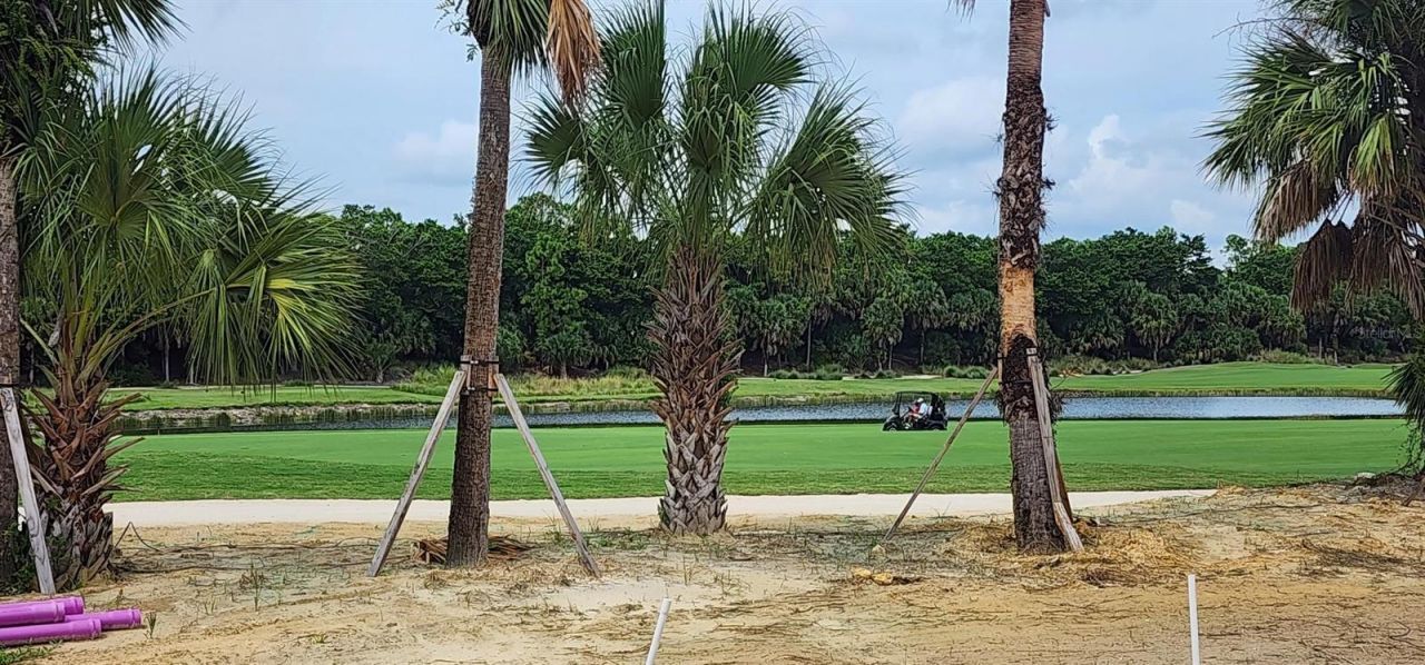 19062 Via Messina Way, Miromar Lakes, FL 33913 Photo