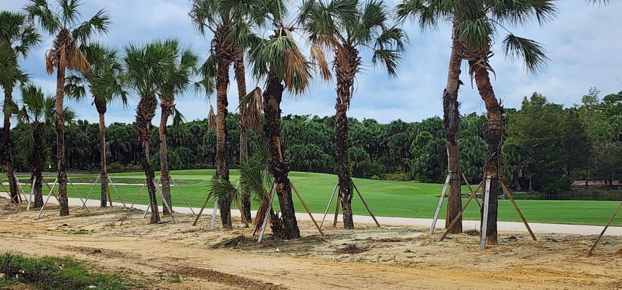 19062 Via Messina Way, Miromar Lakes, FL 33913 Photo