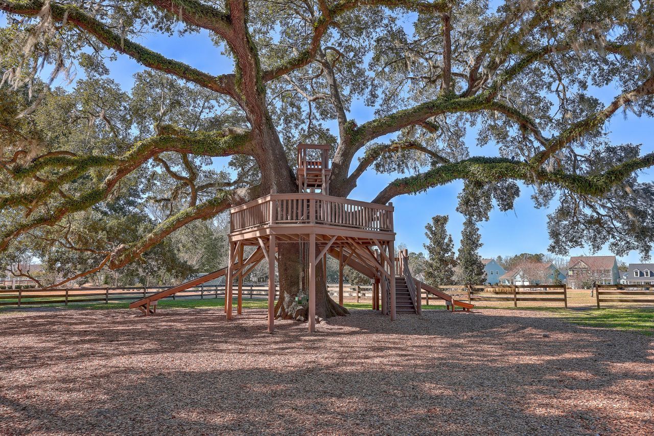 420 Oak View Way Photo 52