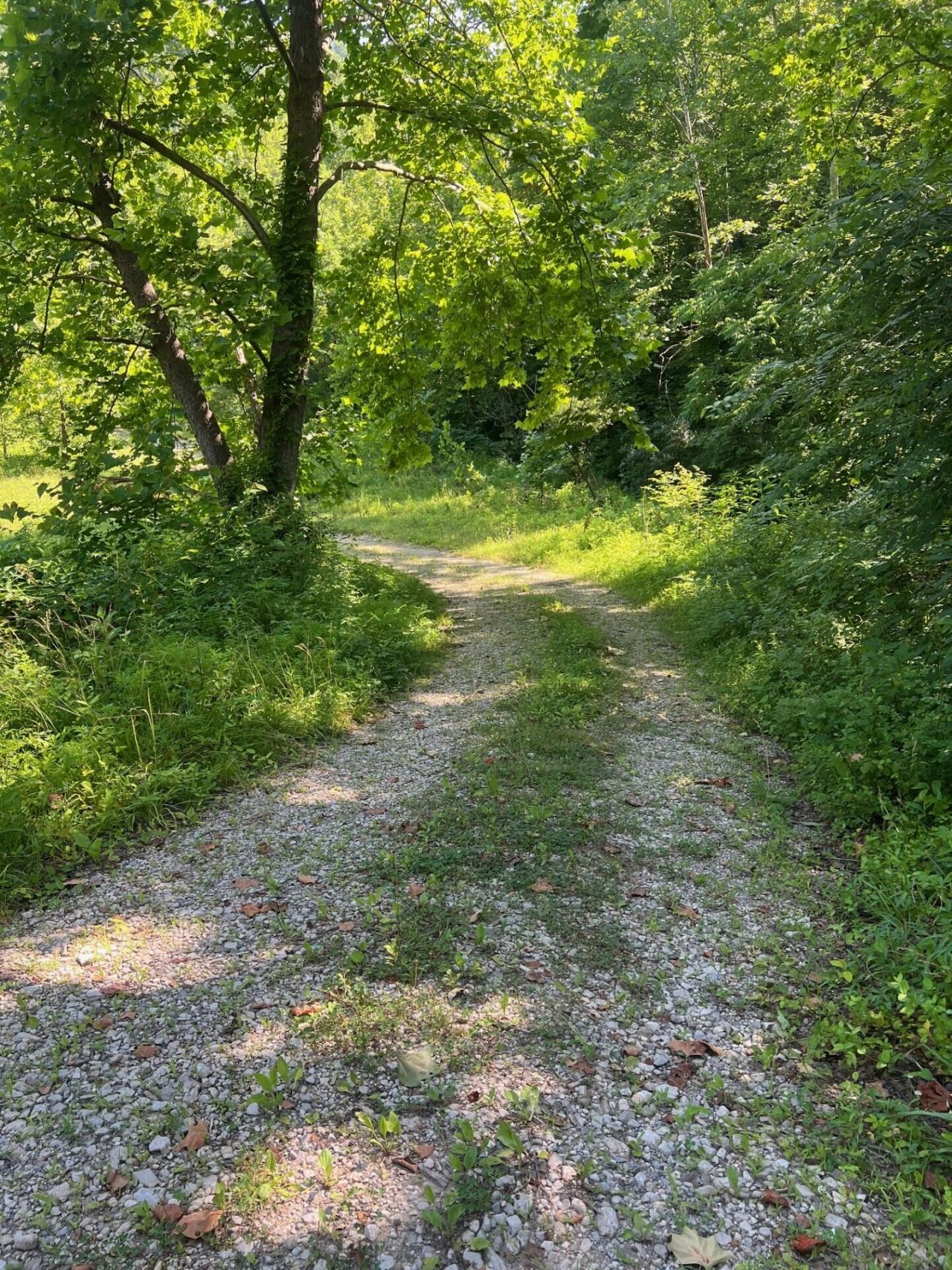 00 SE Licking River Rd, Salyersville, KY 41465