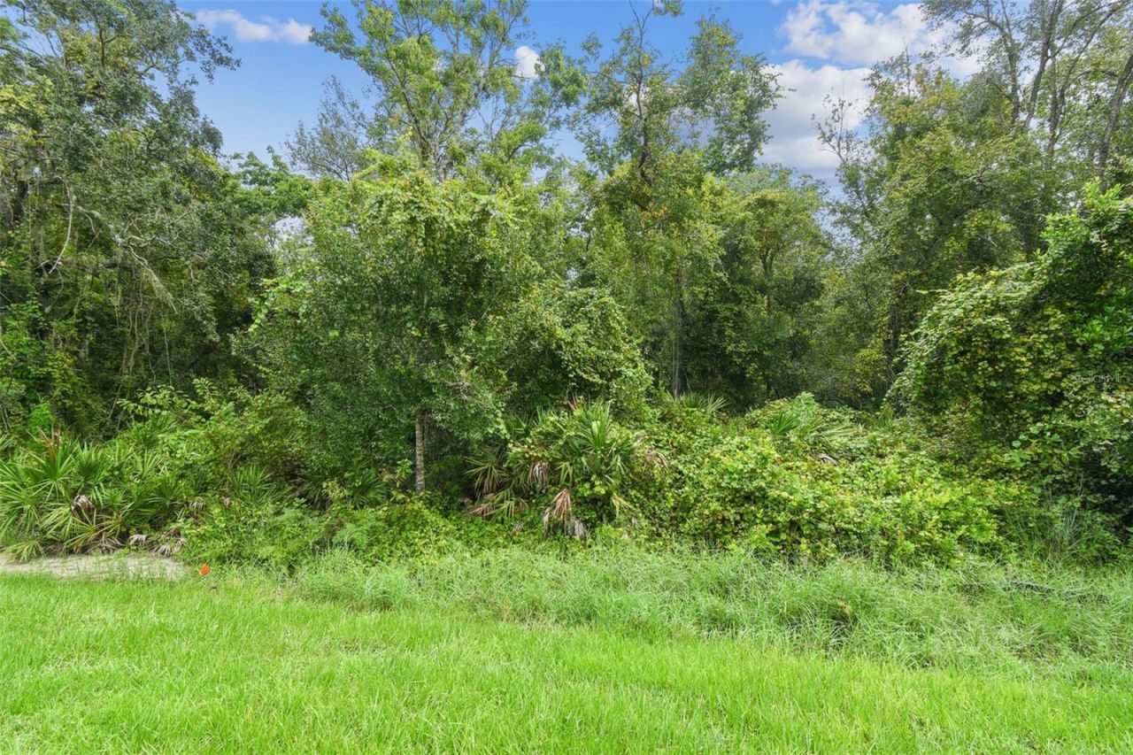 11311 Striped Bass Court, New Port Richey, FL 34654 Photo