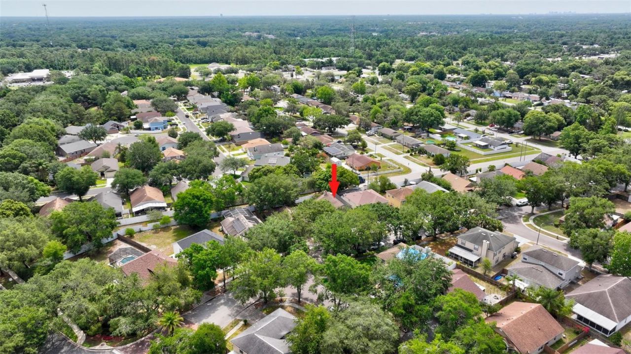 1039 Eagles Forrest Drive, Apopka, FL 32712 Photo