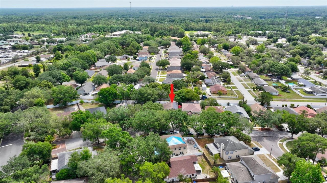 1039 Eagles Forrest Drive, Apopka, FL 32712 Photo