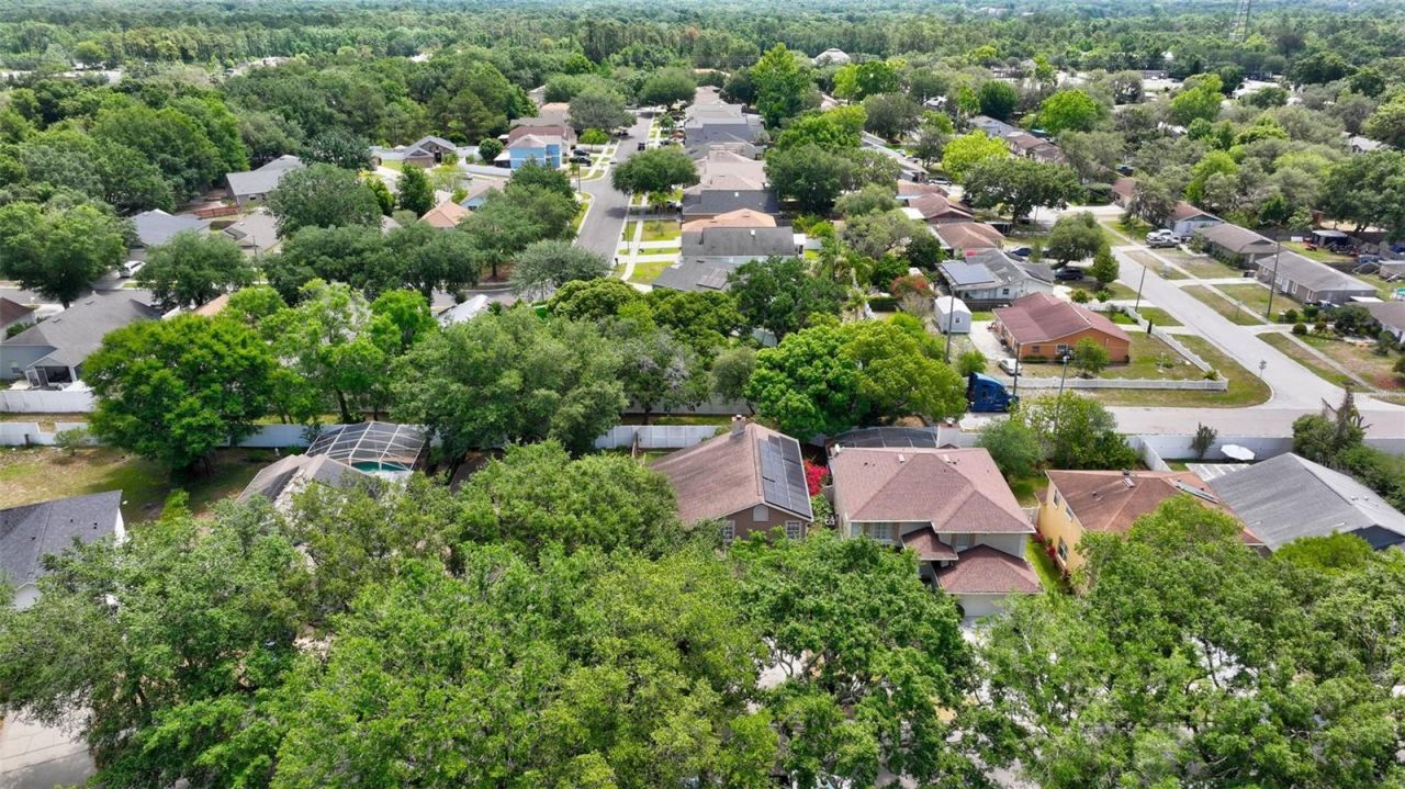 1039 Eagles Forrest Drive, Apopka, FL 32712 Photo