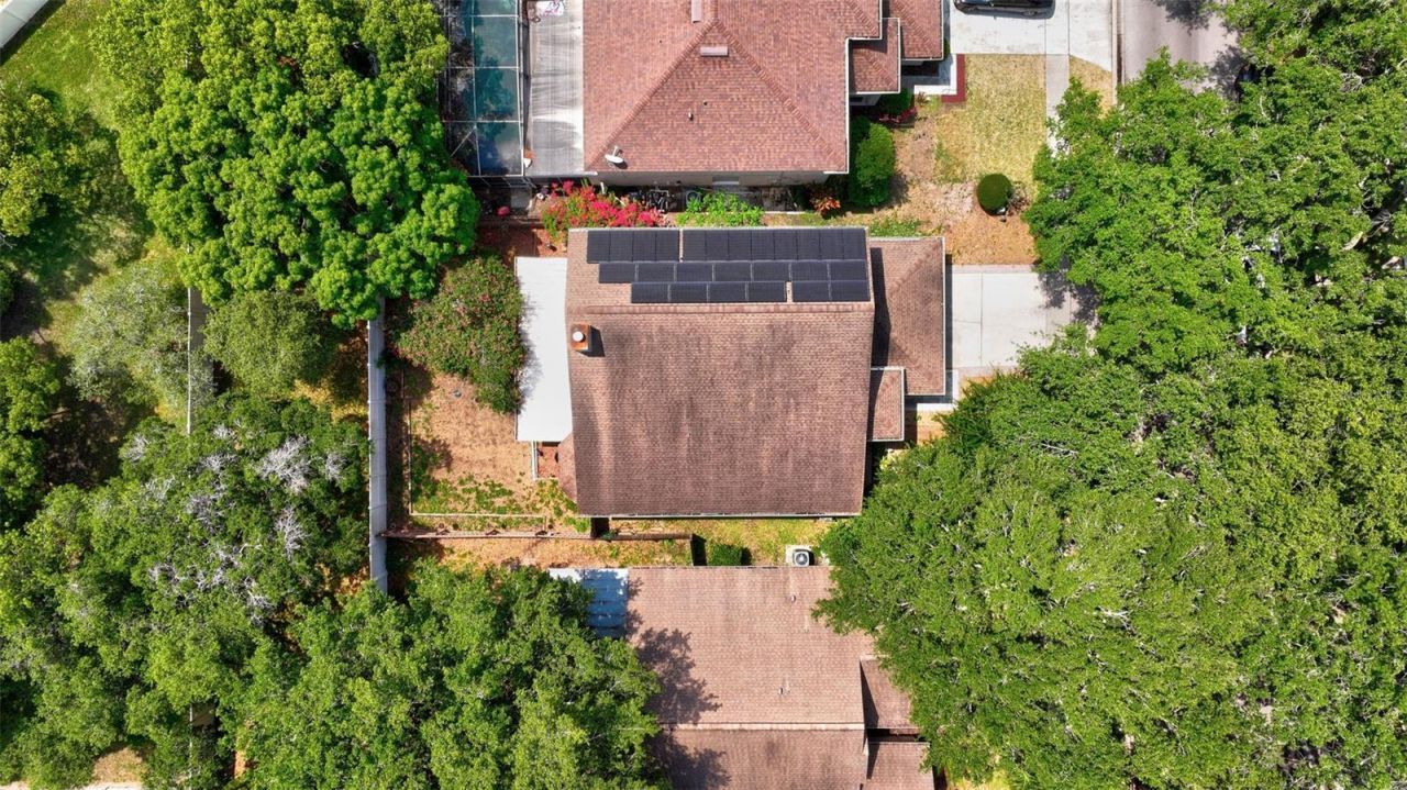 1039 Eagles Forrest Drive, Apopka, FL 32712 Photo