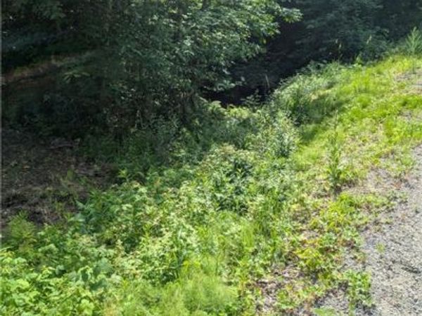 Lot 1 165th Avenue, Stanley, WI 54768