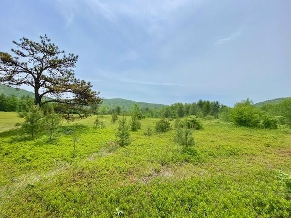 00 Brownfield Road, Hiram, ME 04041
