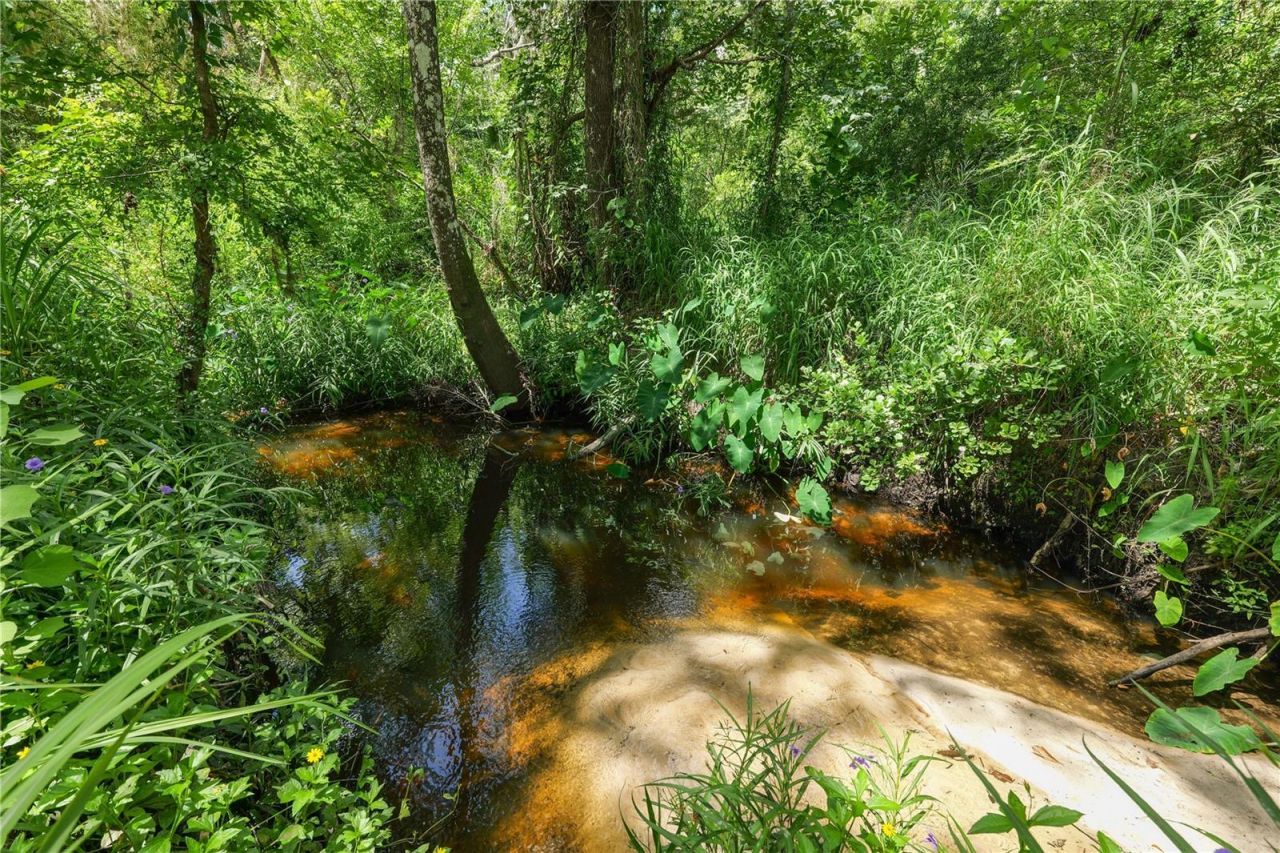 6325 Oakview Lane, Lakeland, FL 33811 Photo