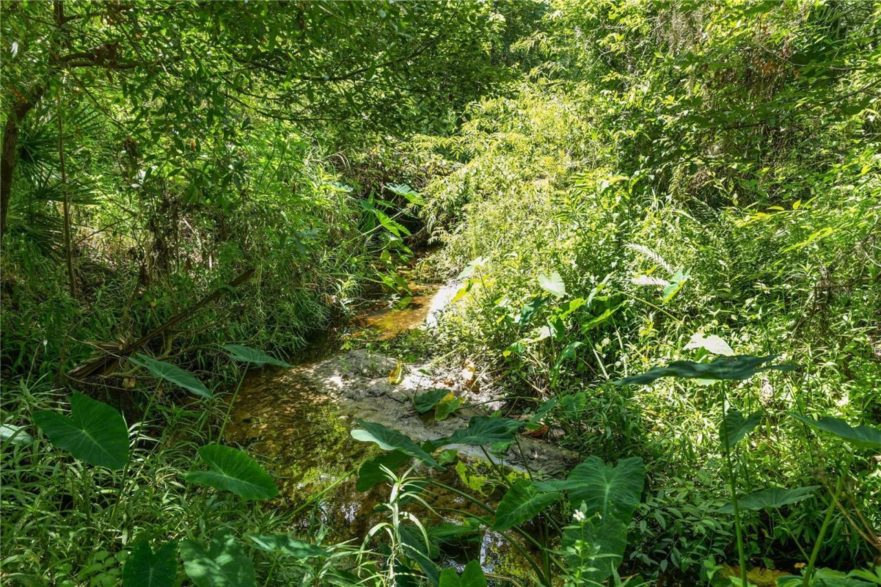 6325 Oakview Lane, Lakeland, FL 33811 Photo