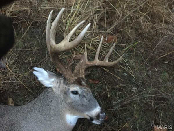 00 S Denton Road, Pacific, MO 63069