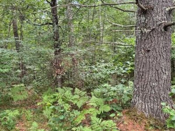 0 E Wilderness Court, Barnes, WI 54873