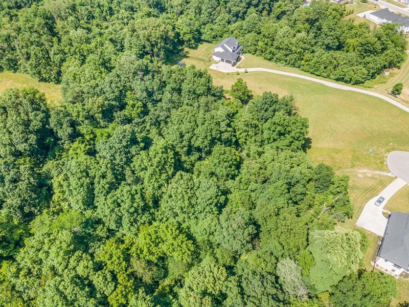 1112 Mehryn Way, Verona, KY 41092 Photo 10