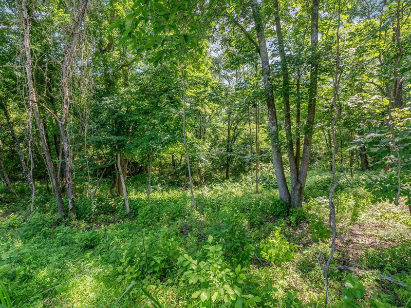 1112 Mehryn Way, Verona, KY 41092 Photo 4