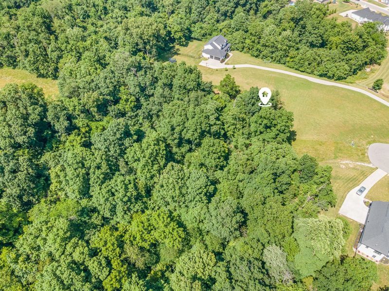 1112 Mehryn Way, Verona, KY 41092 Photo 5