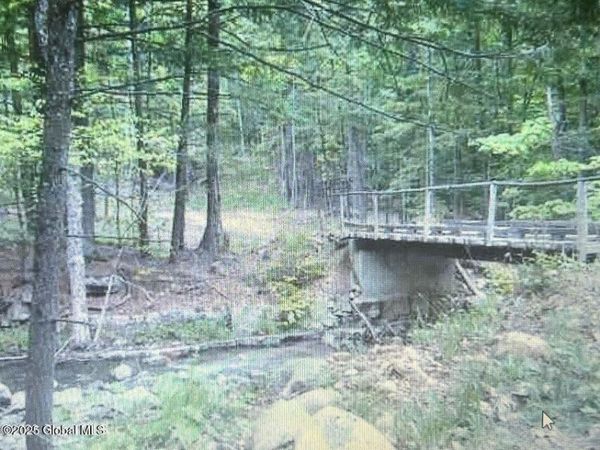 L1.2 Trout Brook Road, Hague, NY 12836